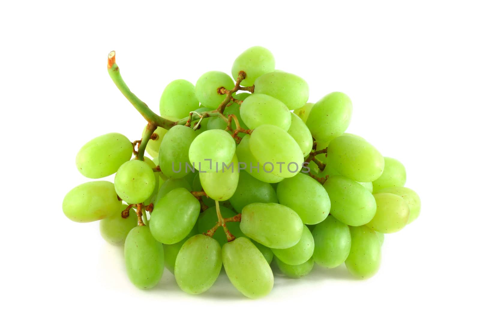 Green grapes by destillat