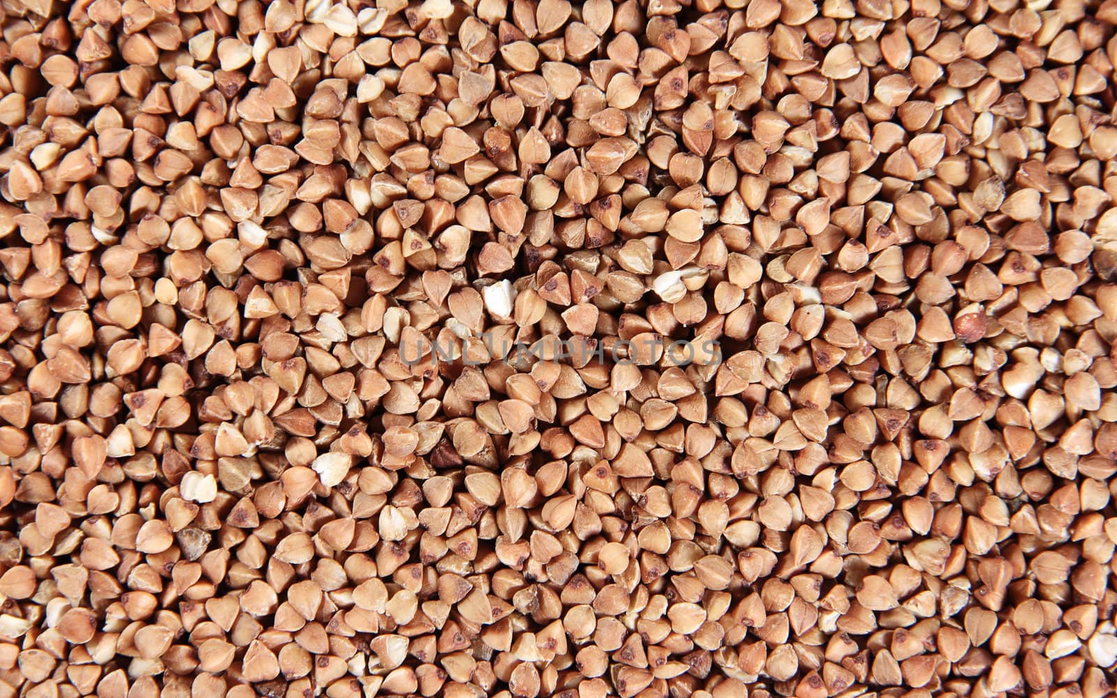 Dry buckwheat background close up