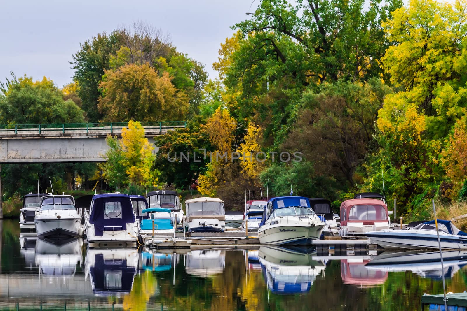 Various little boats near a dock in river in a beautiful summer day, Canada