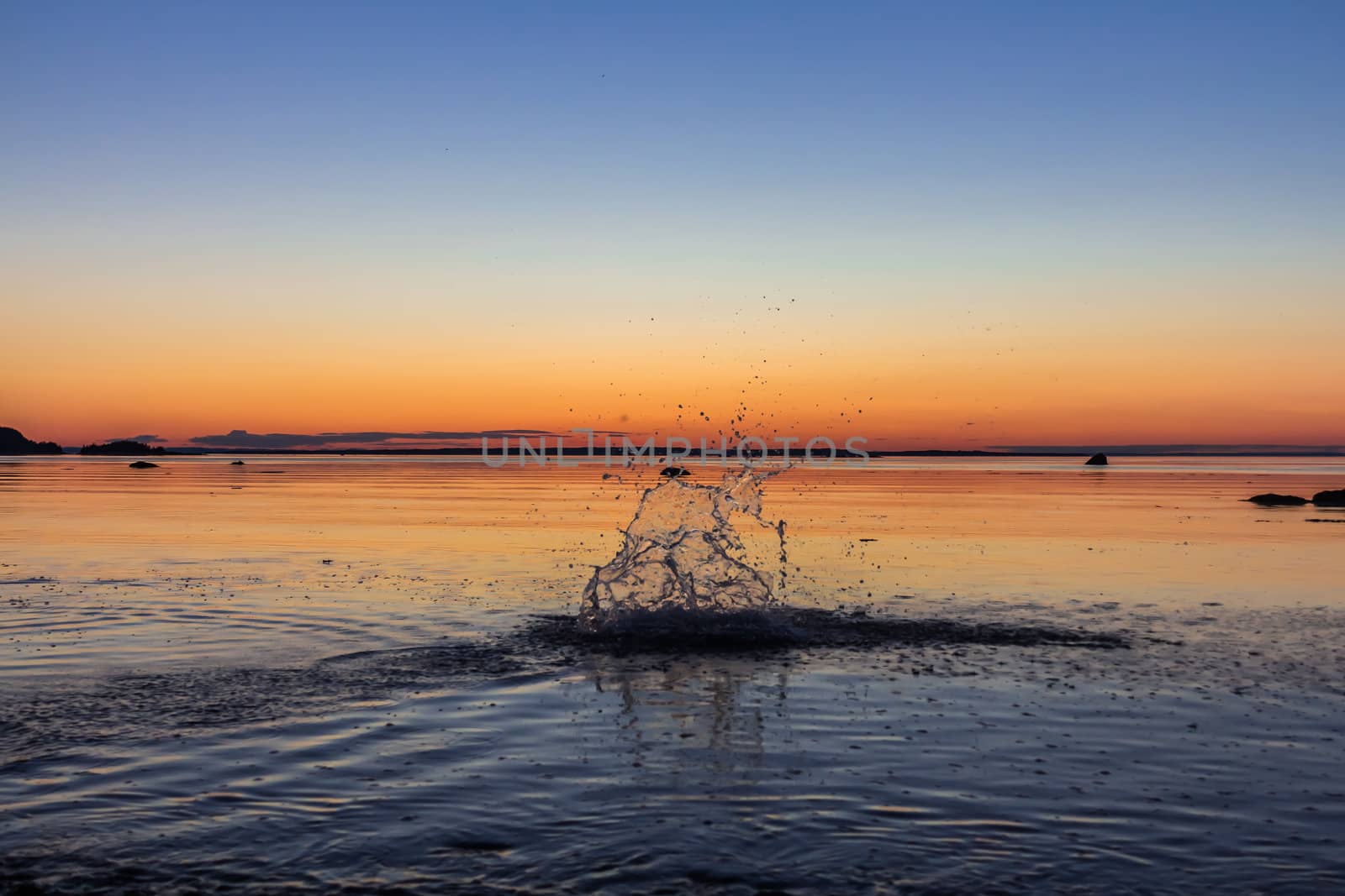 Water splash in sunset  by petkolophoto