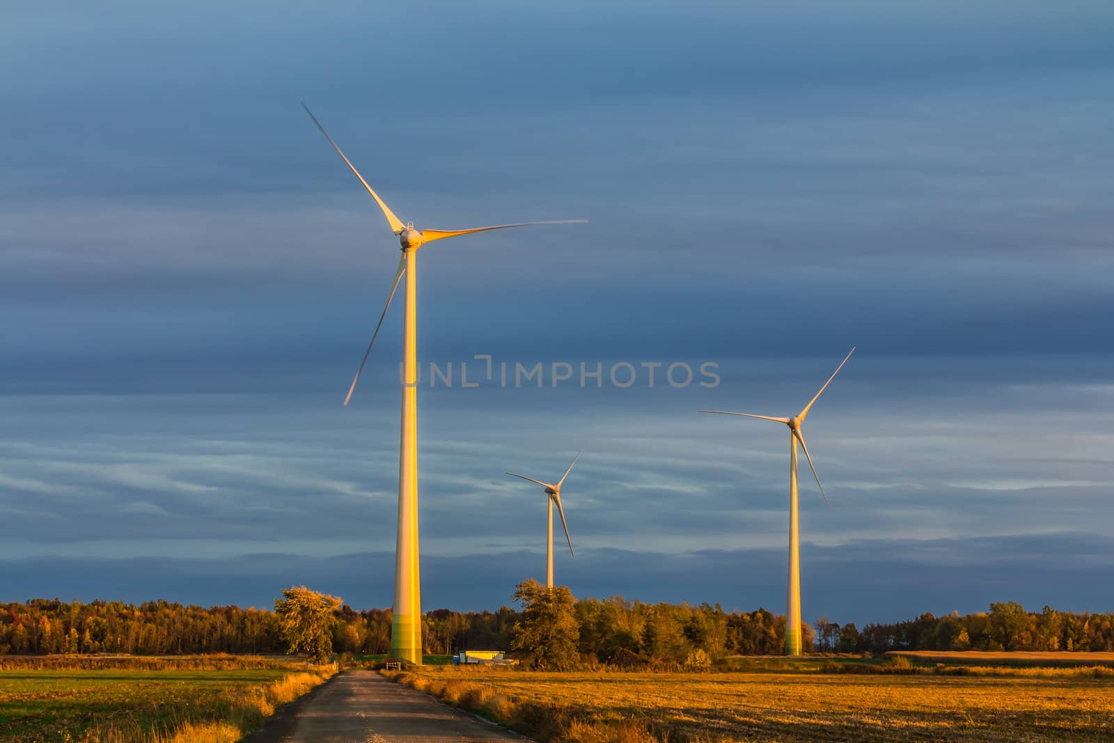 Wind turbine in a field in the evening, producing wind, Canada