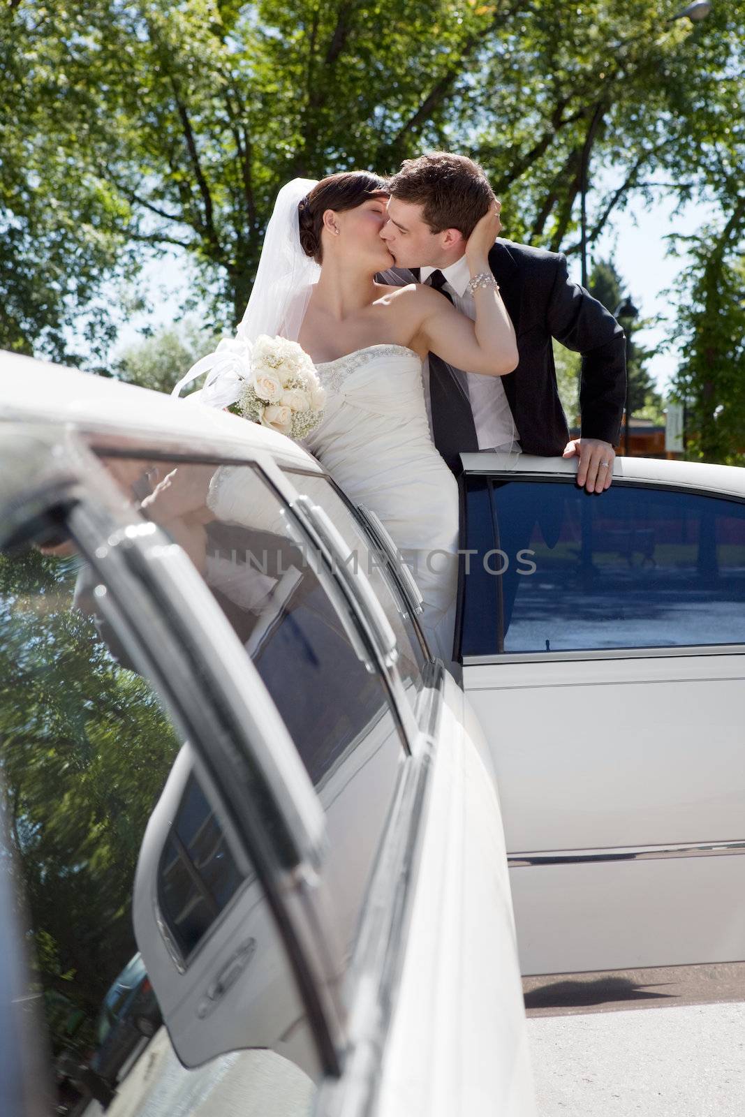 Newlywed Couple Standing Beside Limousine by leaf