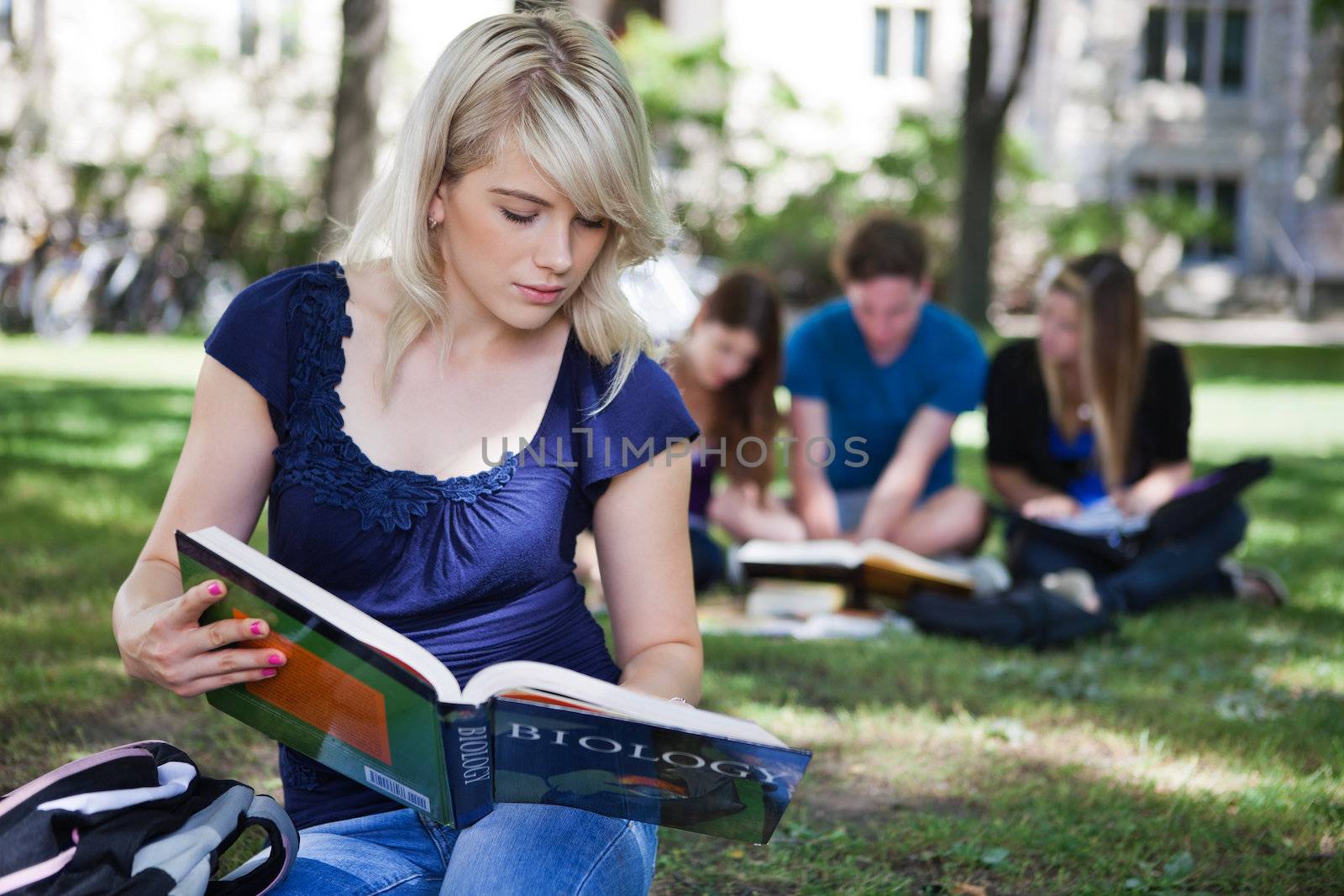 Students studying in campus by leaf
