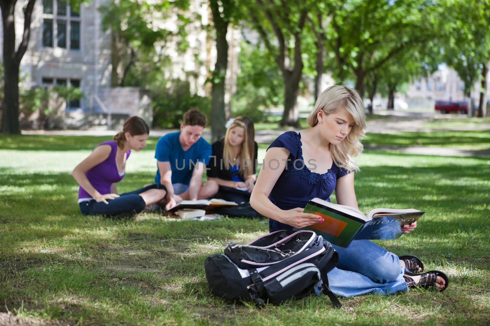 College students studying by leaf