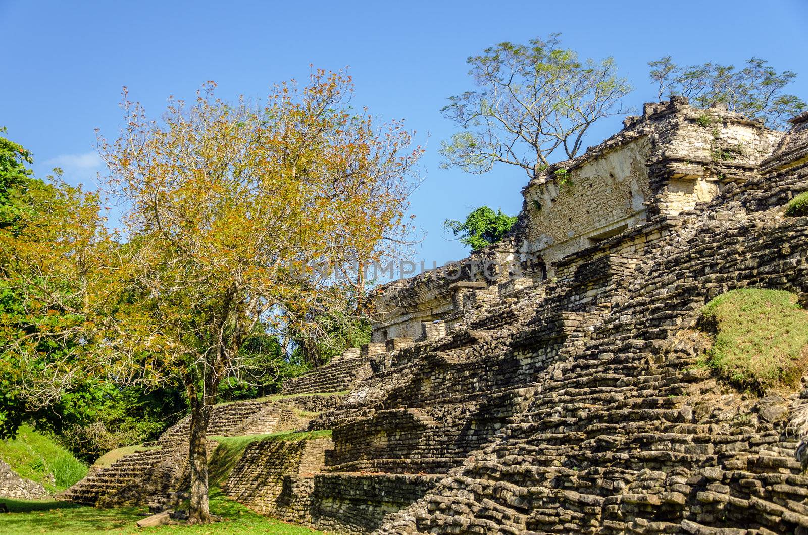 Ruined temple in the ancient Mayan city of Palenque in Mexico