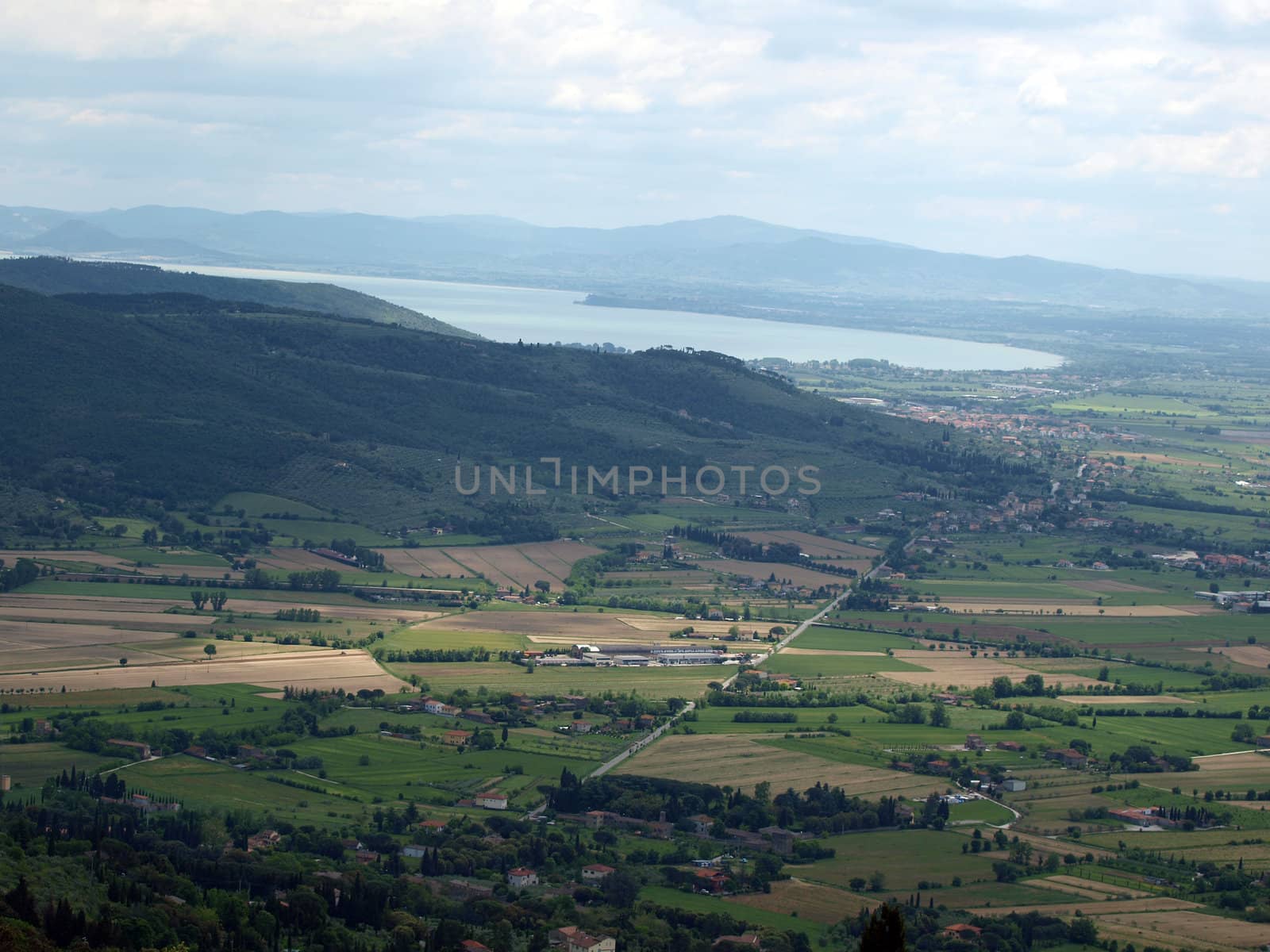 View of the olive groves and plains around Cortona. Umbria