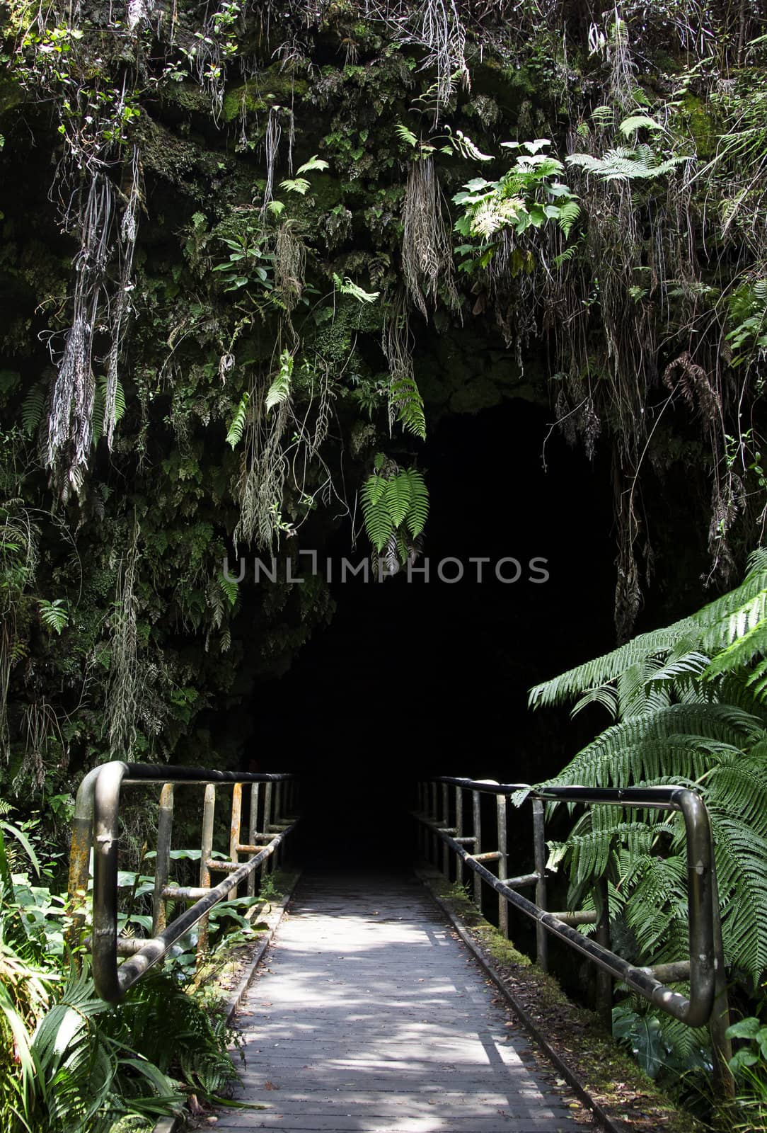 Entrance of the deep by mypstudio