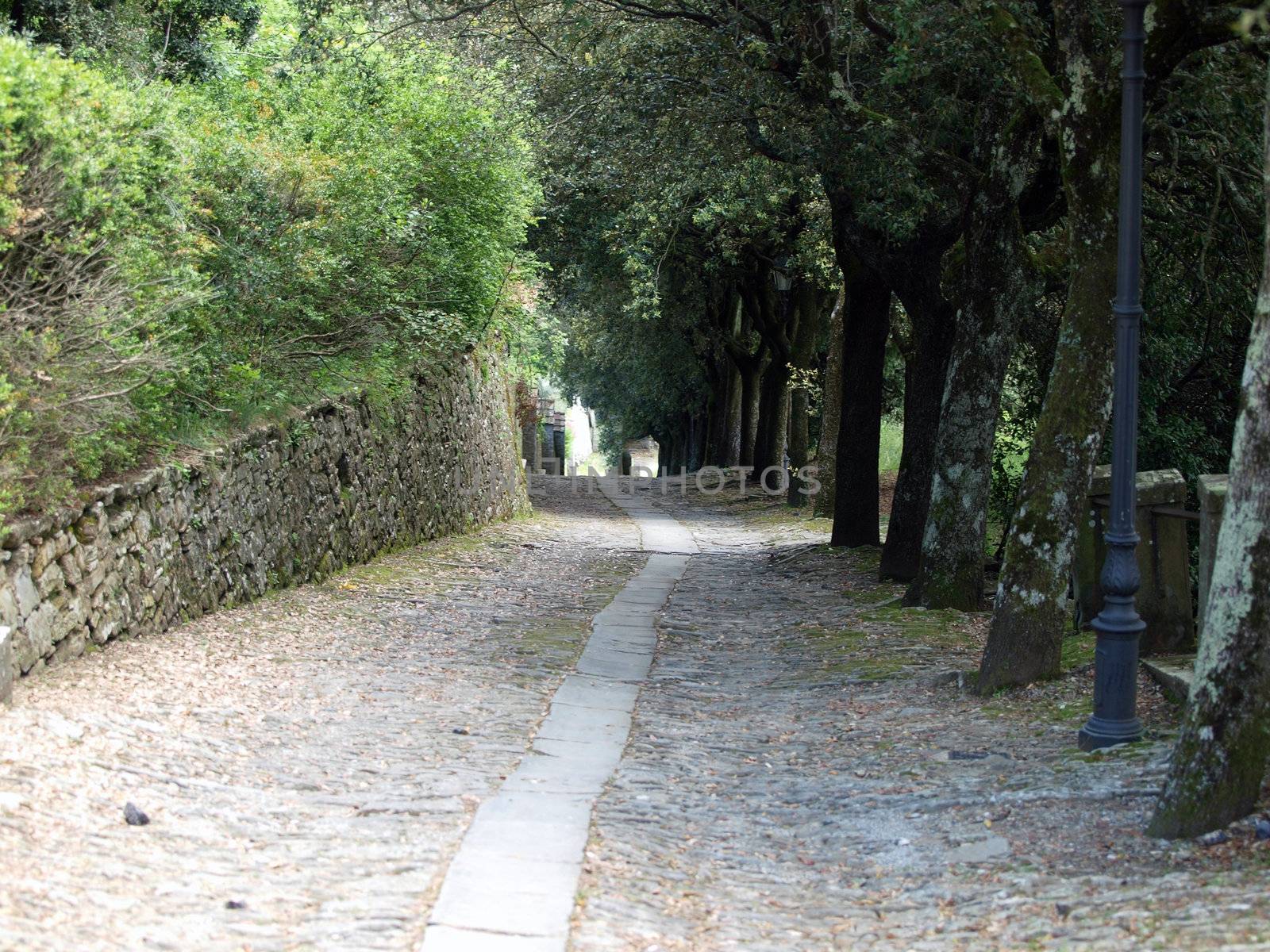 steep stone avenue to the shrine of St. Margaret of Cortona