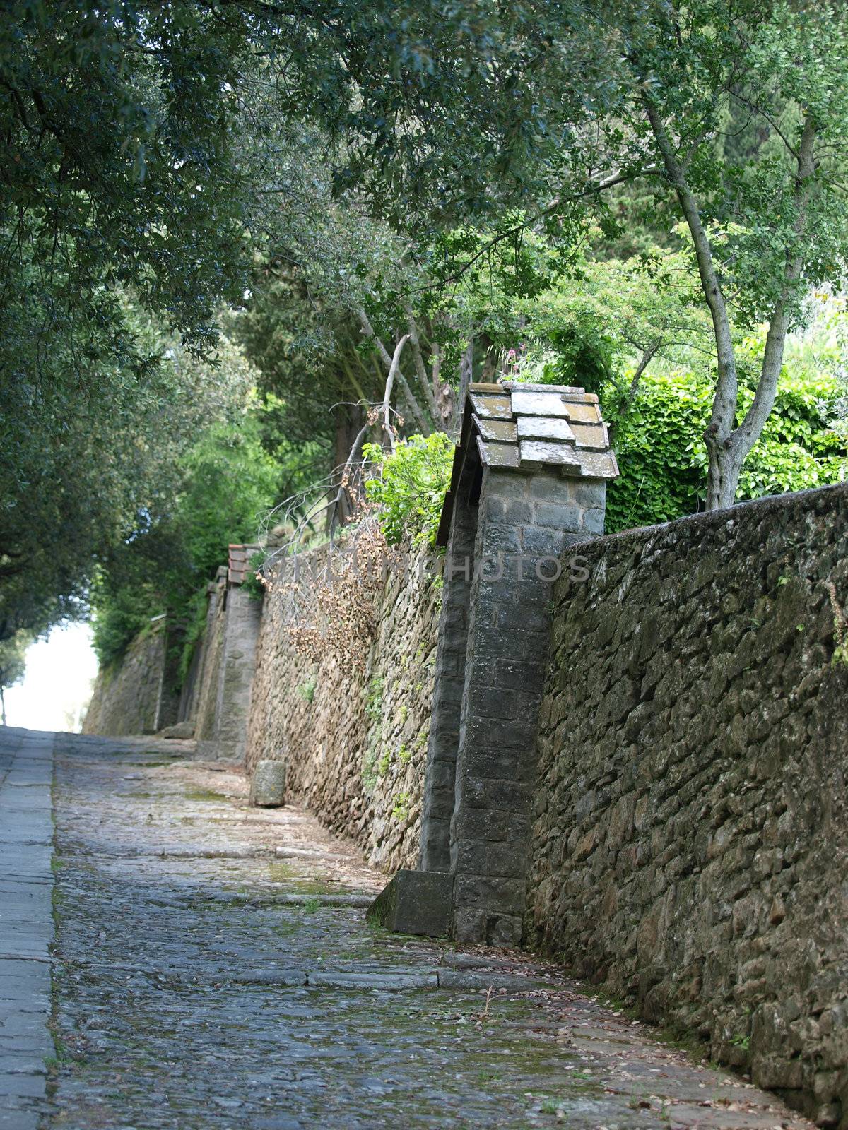 steep stone avenue to the shrine of St. Margaret of Cortona