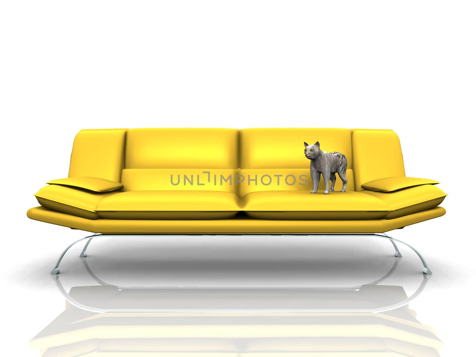 the yellow couch