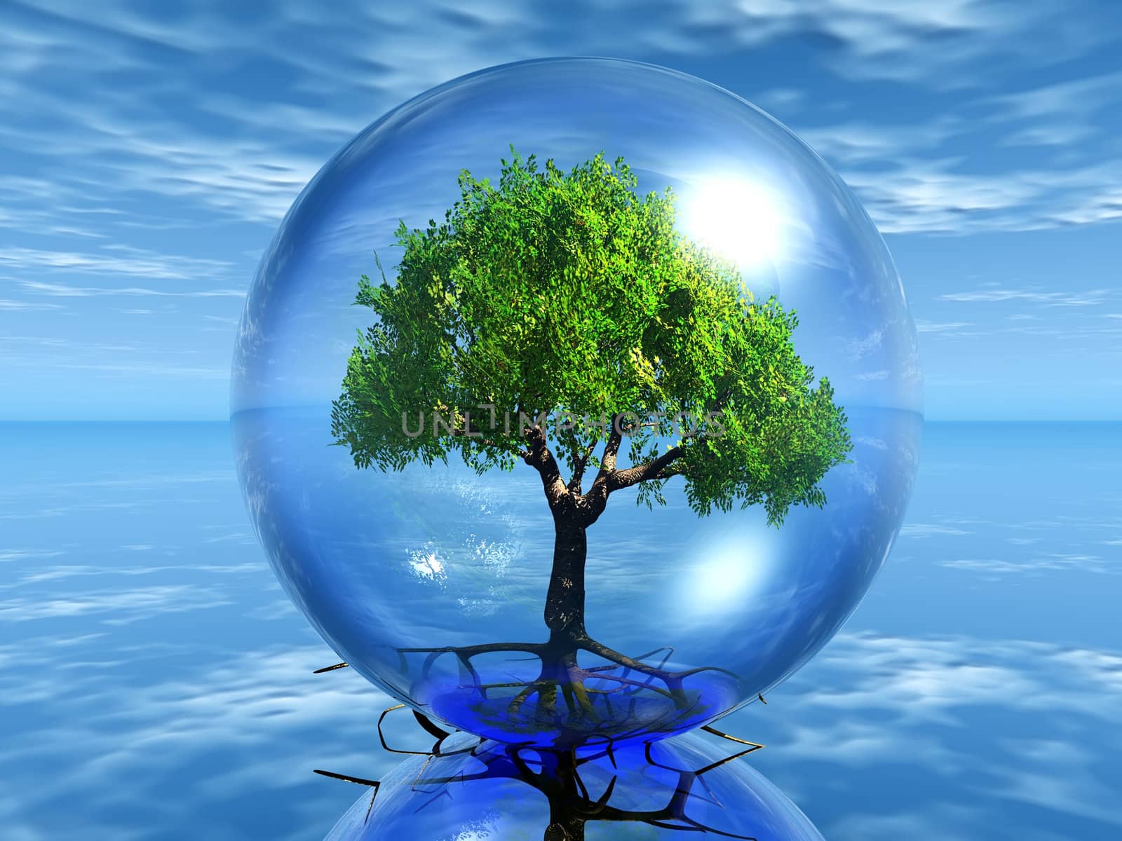 Tree in bubble by njaj