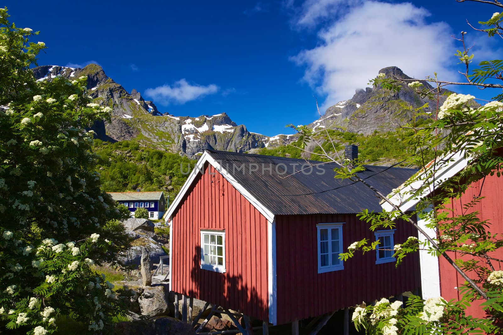 Traditional old fishing village of Nusfjord on Lofoten islands, Norway
