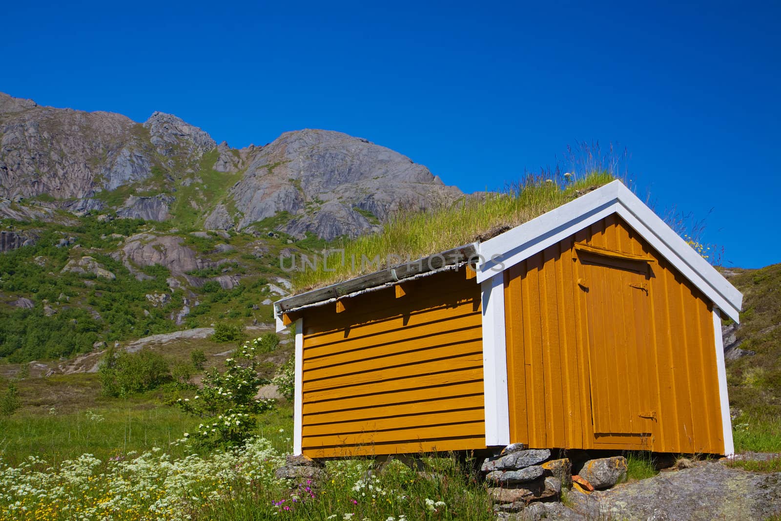Picturesque yellow shed with green roof on Lofoten islands in Norway