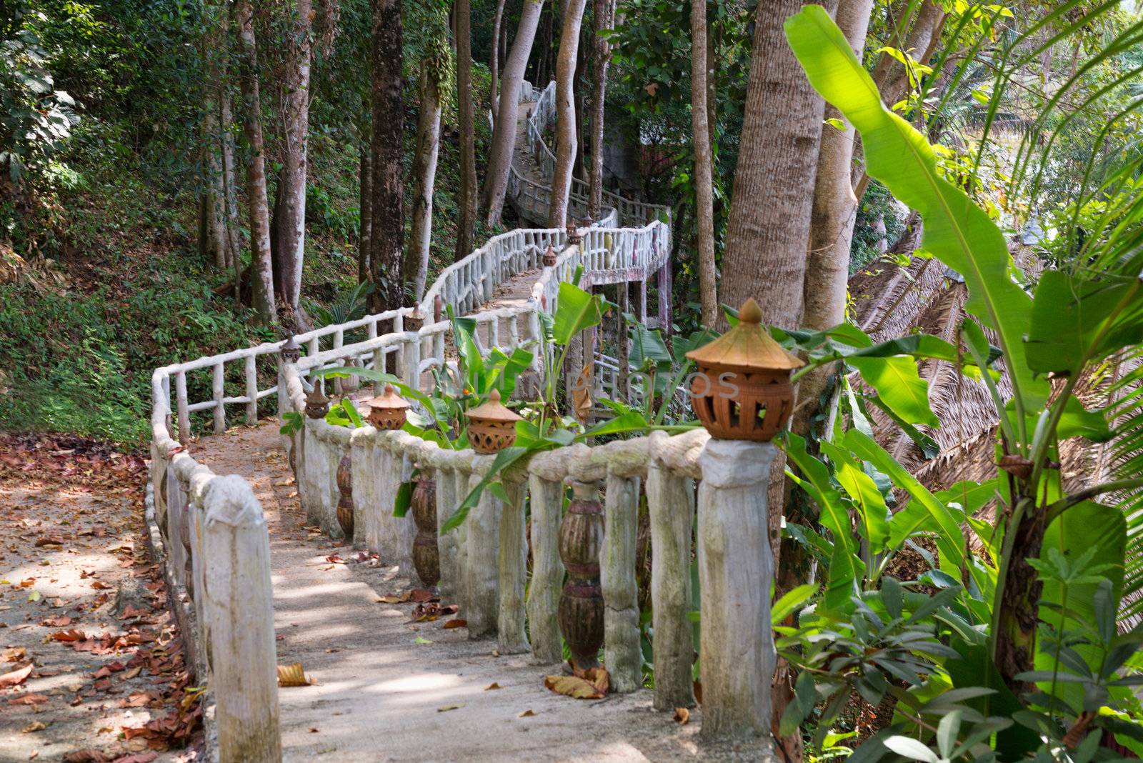 stone pathway with handrails in the jungle Thailand