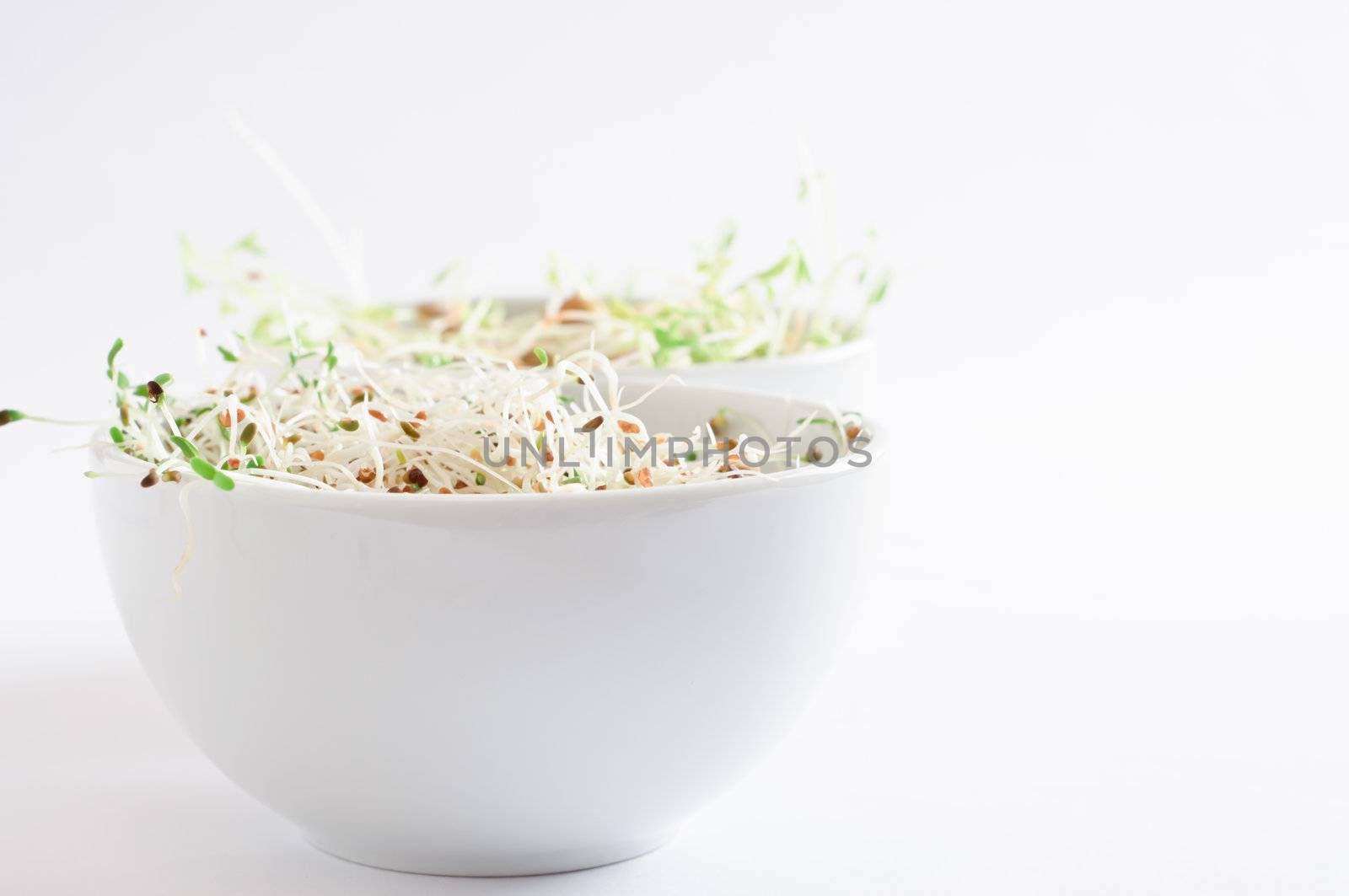 Two white china bowls containing raw beansprouts.  Alfalfa in the foreground and green lentil in the background.  Copy space to right.