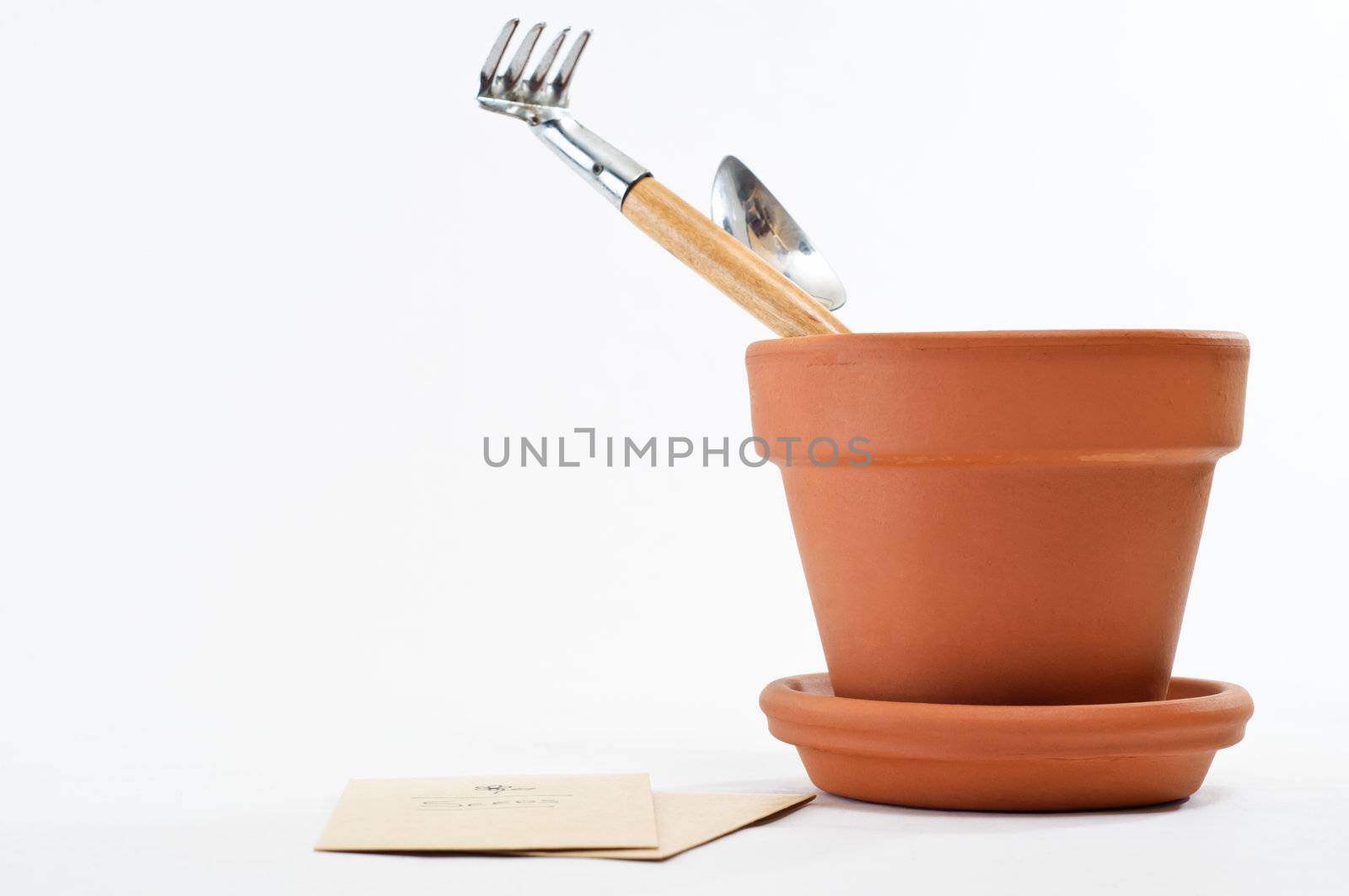 A terracotta plant pot containing houseplant tools, with seed packets laid flat beside it.  Copy space to left.