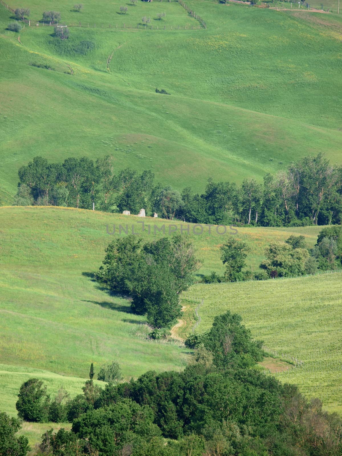 The beautiful landscape of Tuscany. View of the hills between Montepulciano and Pienza