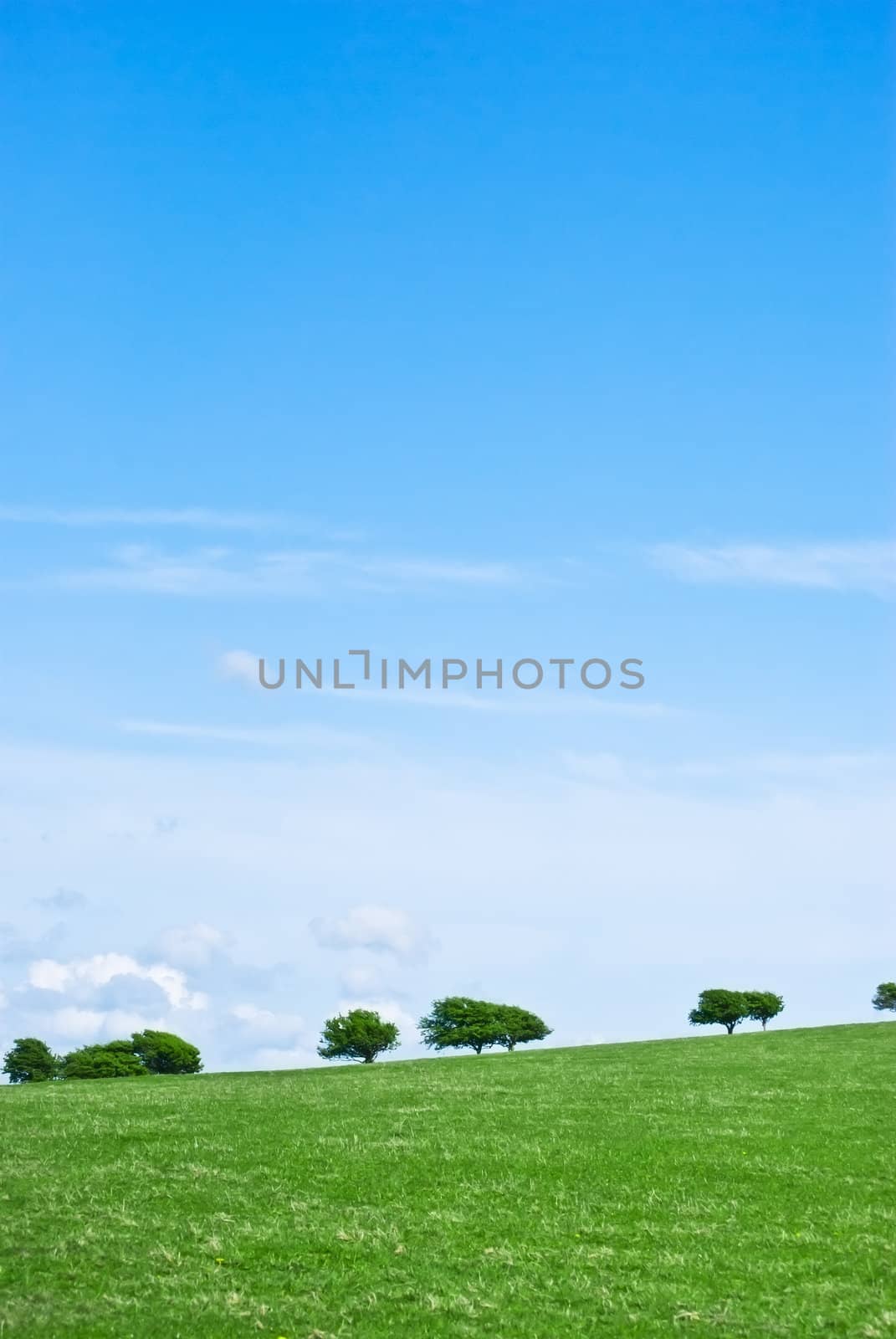 A grassy, gently sloping hill against a blue sky, with trees along the horizon.  