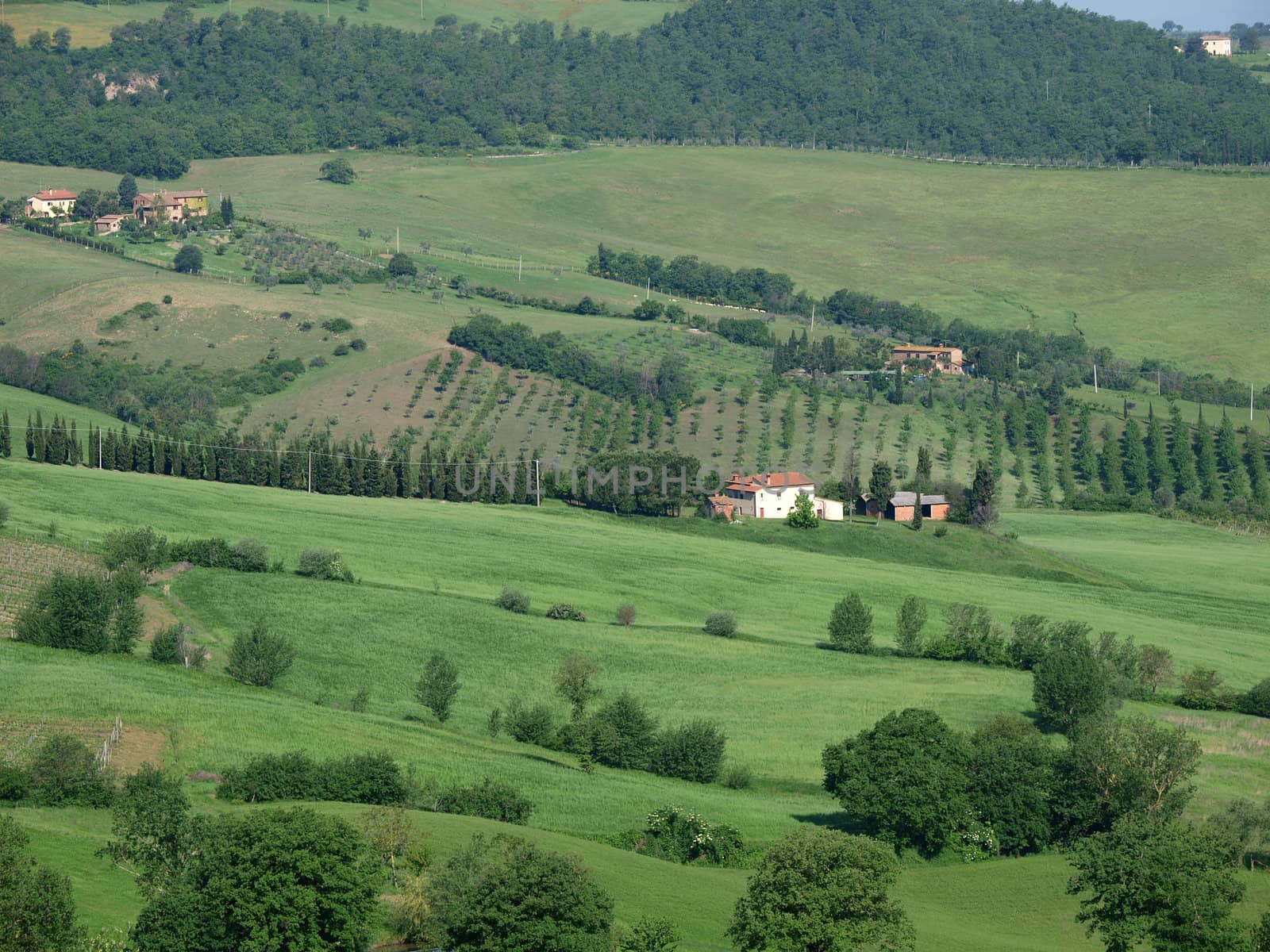 The beautiful landscape of Tuscany. View of the hills between Montepulciano and Pienza