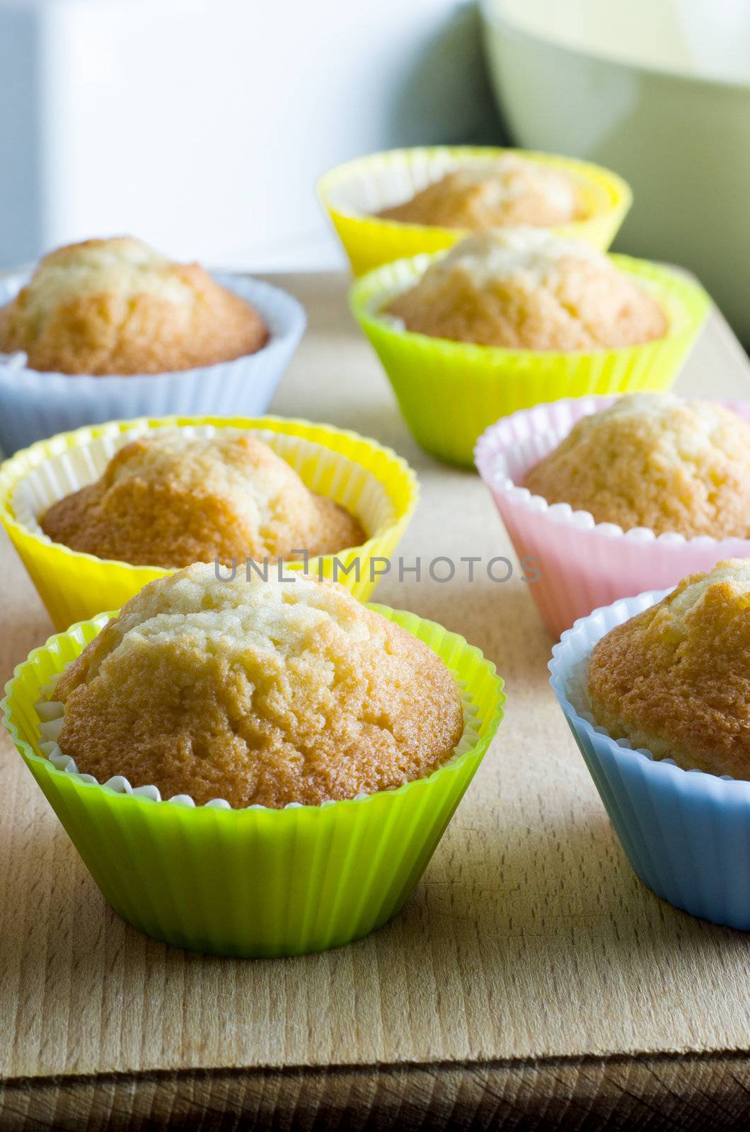 Home Baked Cupcakes by frannyanne