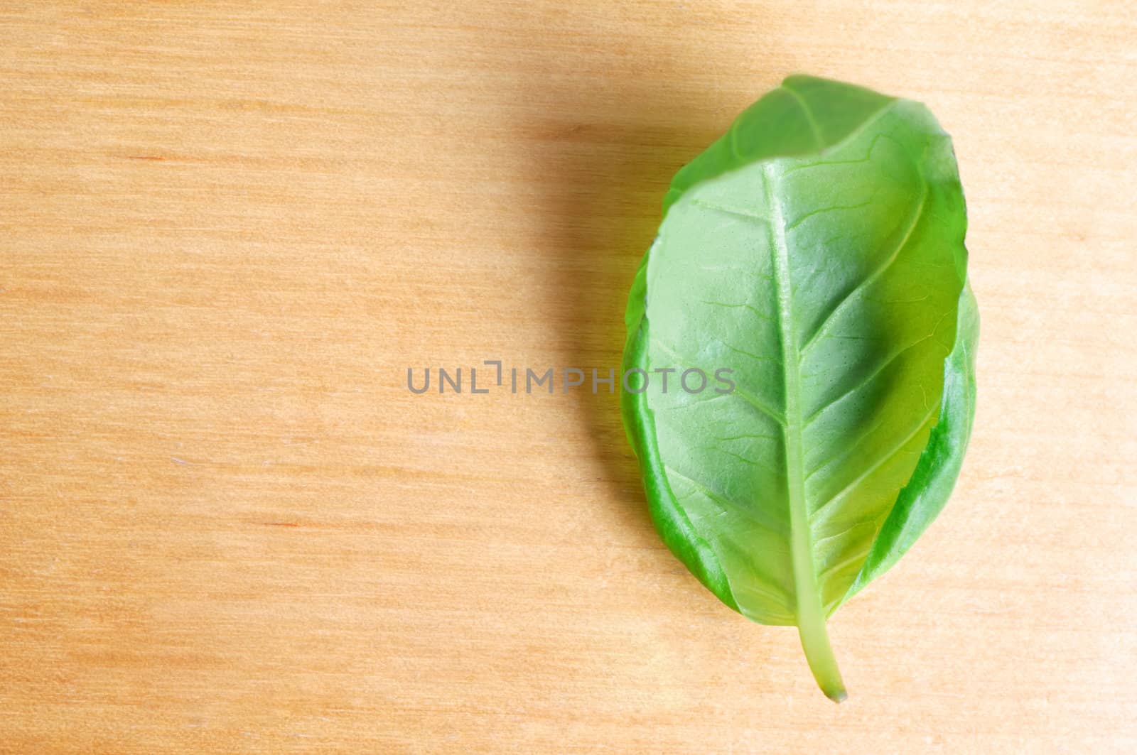 Overhead shot of a solitary basil leaf, inner side facing uppermost on a light wood surface, with copy space to the left.
