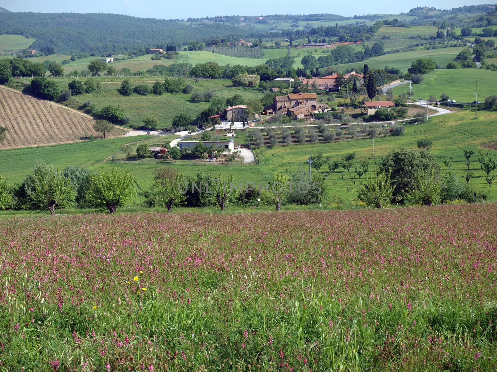 The beautiful landscape of Tuscany. View of the hills between Montepulciano and Pienza