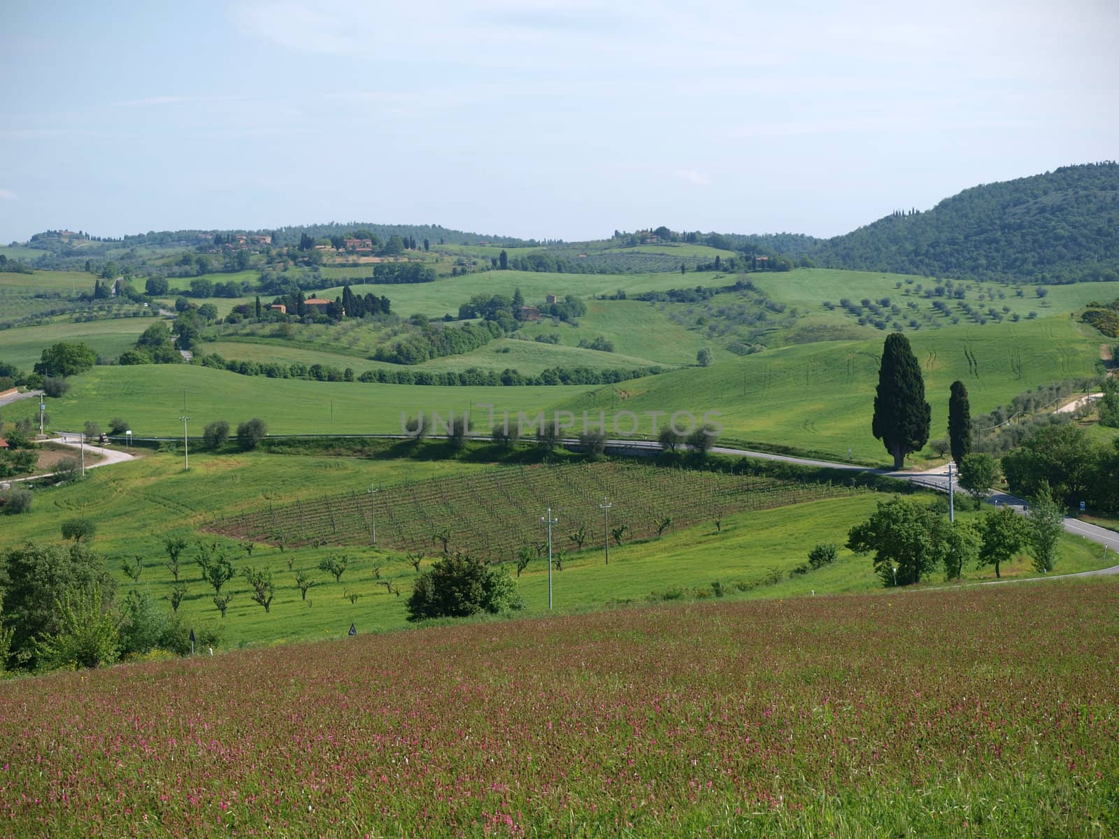 The beautiful landscape of Tuscany. View of the hills between Montepulciano and Pienza