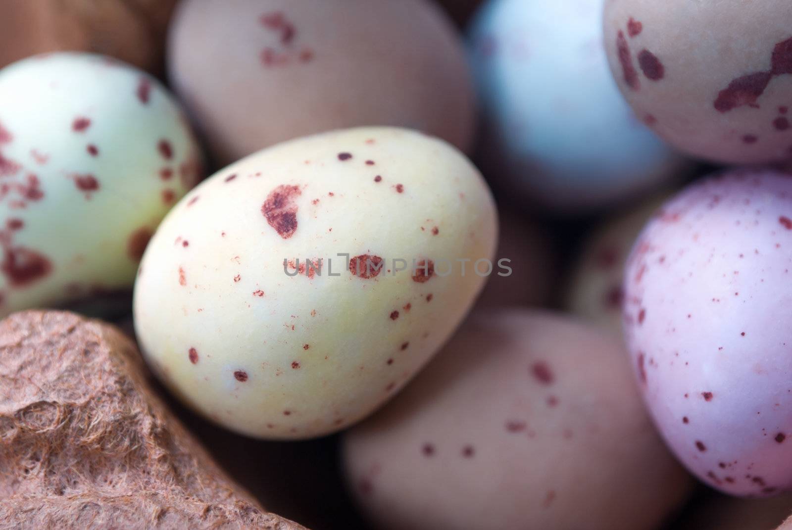 Close up (macro) of speckled egg shaped candy Easter treats in pastel colours inside the compartment of a cardboard egg box carton.