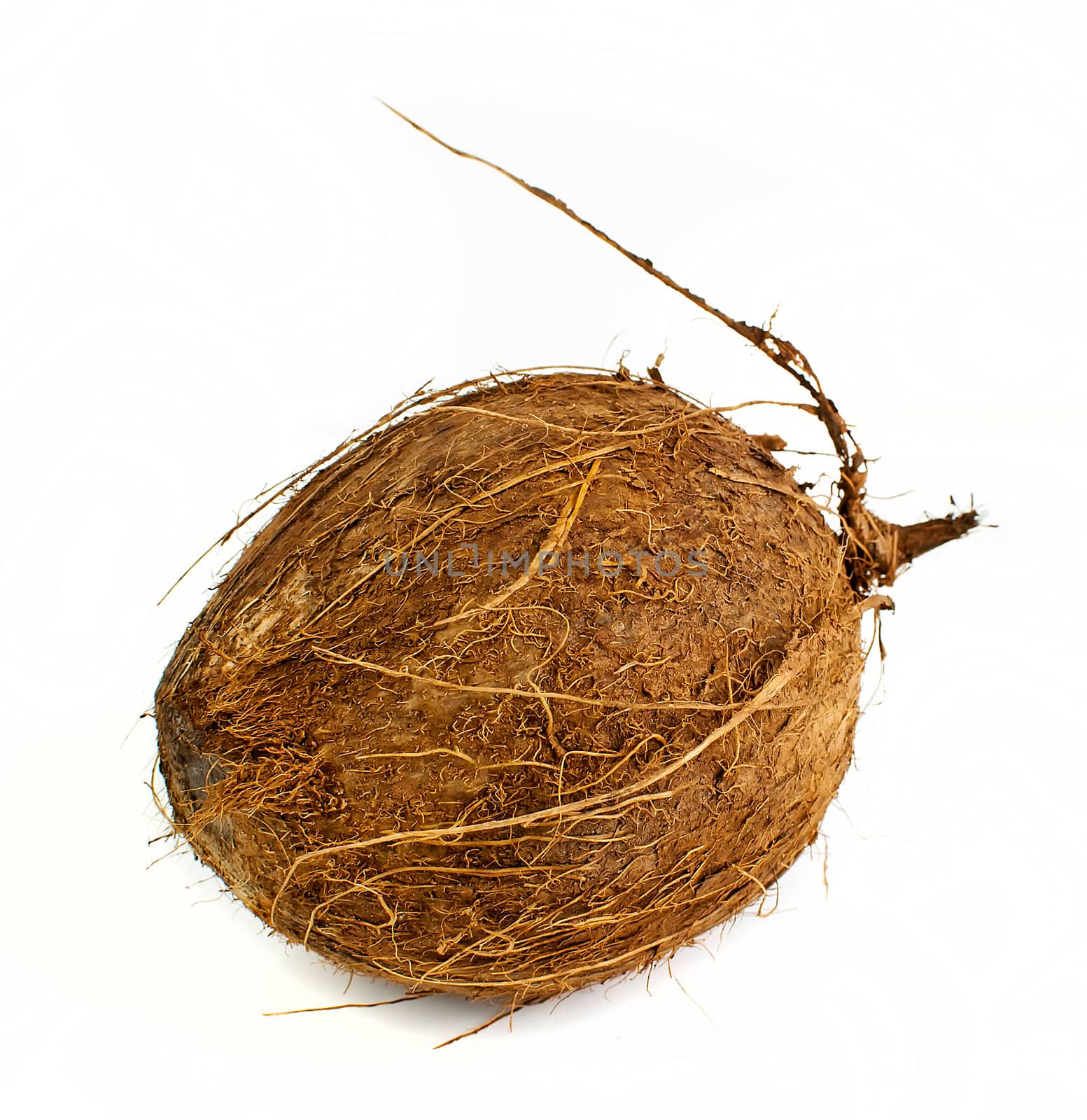 whole healthy coconut isolated on white background