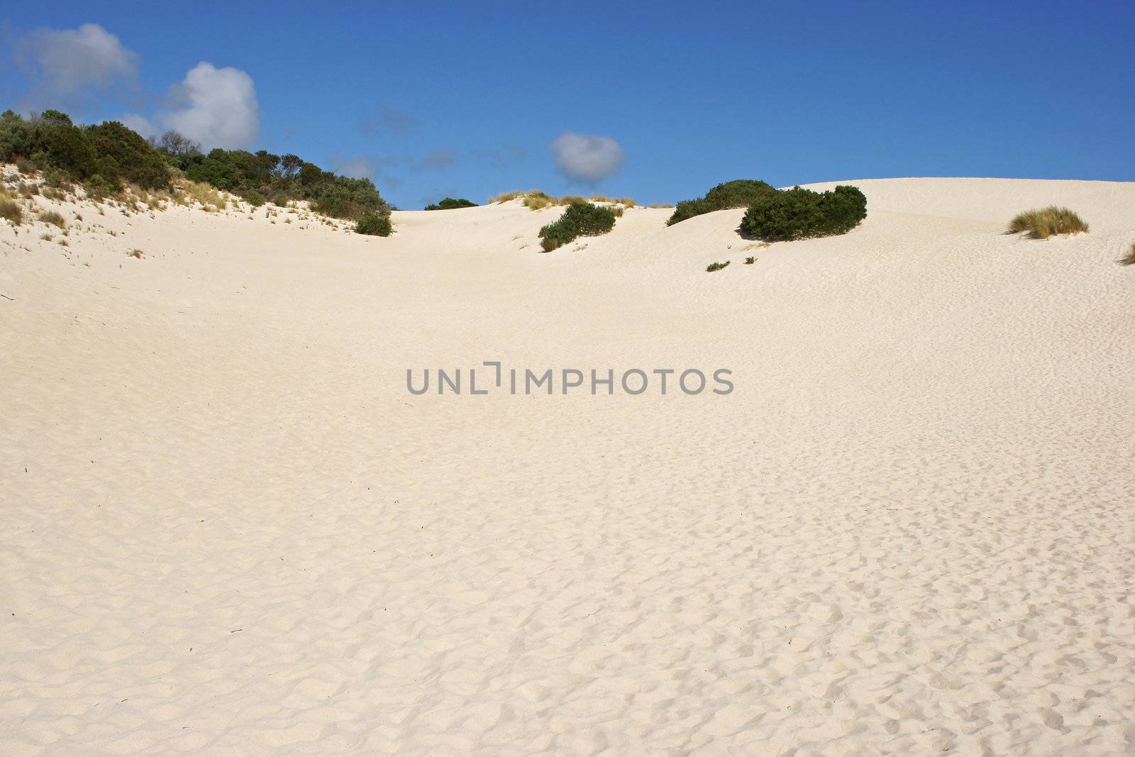 Dunes of Little Sahara, Kangaroo Island, South Australia