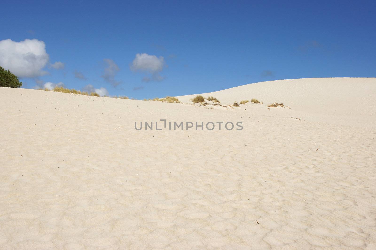 Dunes of Little Sahara, Kangaroo Island, South Australia