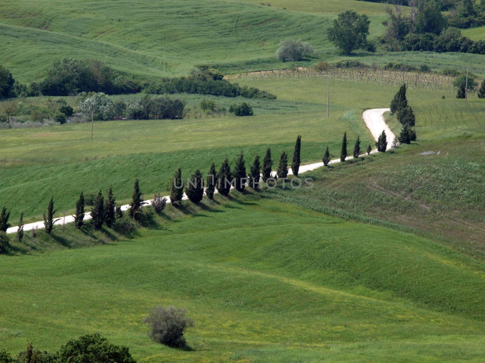 The landscape of the Val d’Orcia. Tuscany. Italiy