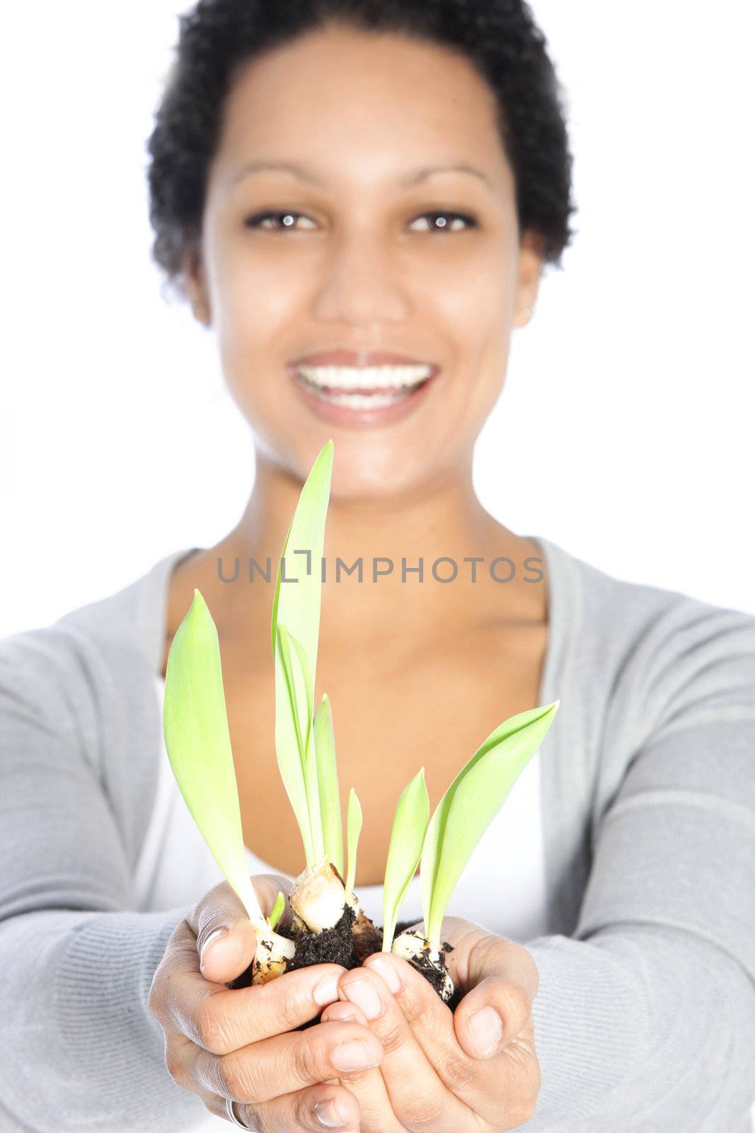 Beautiful young African American woman nurturing a sprouting spring bulb with fresh new leaves in her hand and offering it to the camera with a smile isolated on white