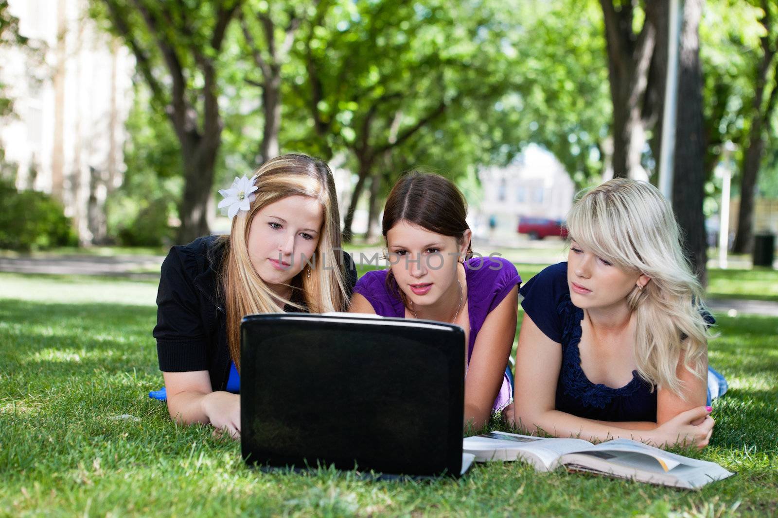 Group of students with laptop by leaf