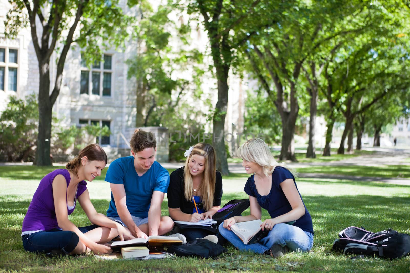 College students studying together by leaf