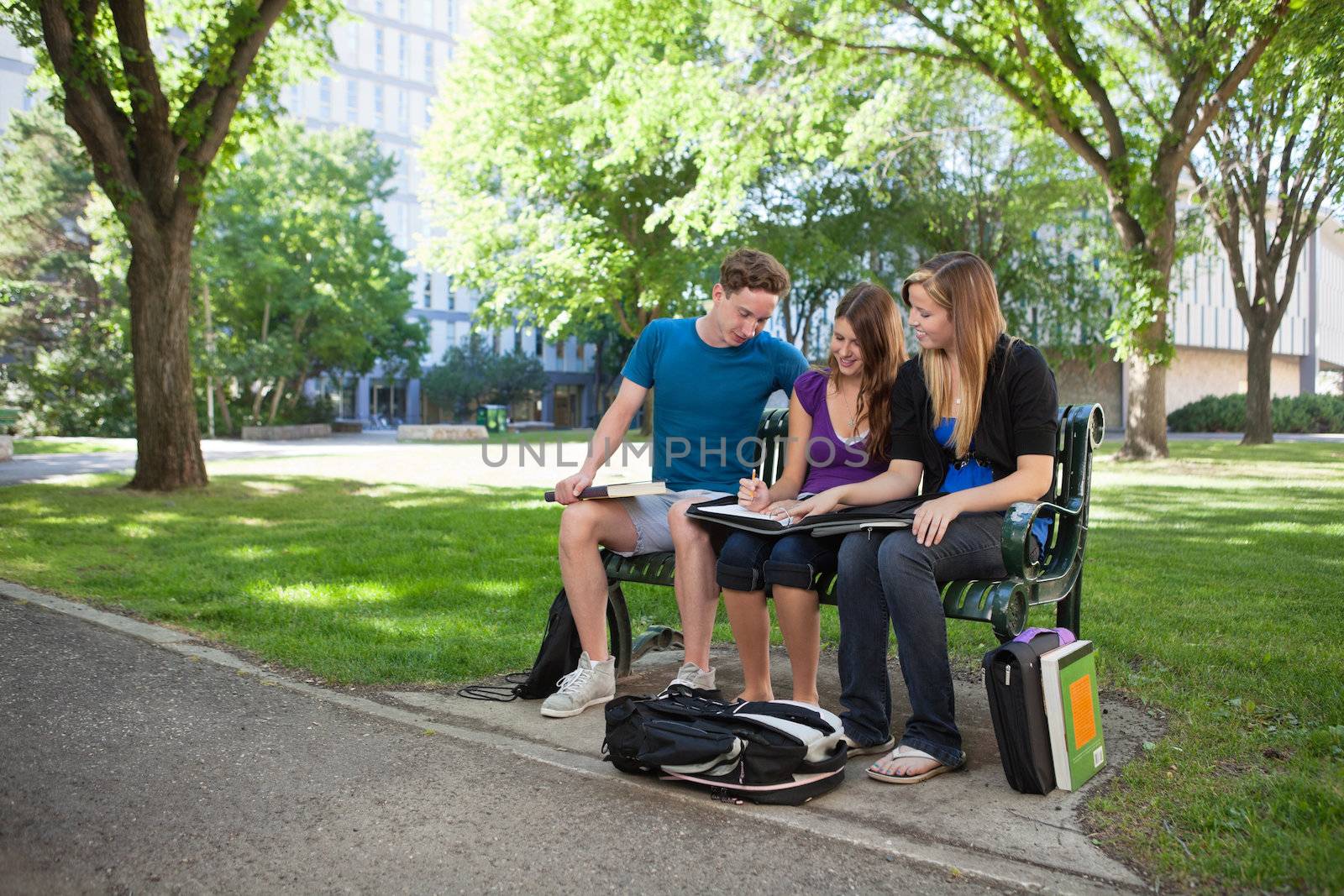 University Students Doing Homework by leaf