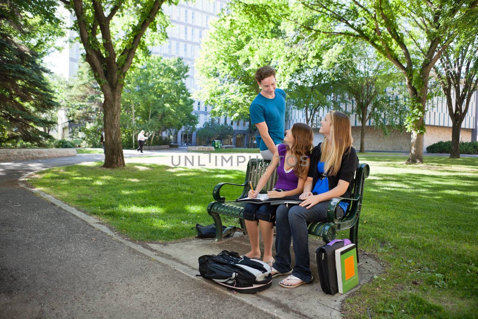 Students studying on campus by leaf