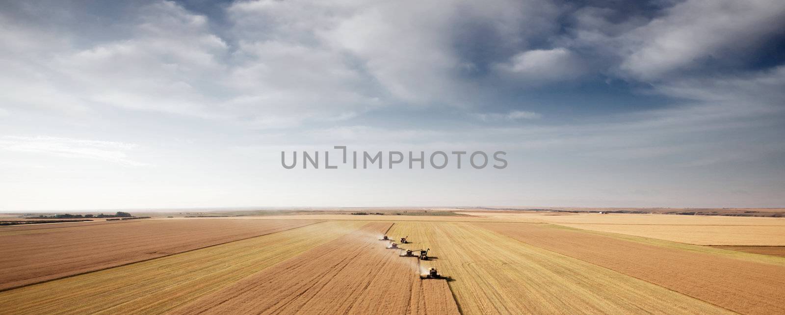 Panoramic landscape with four combines in a field on the open prairie