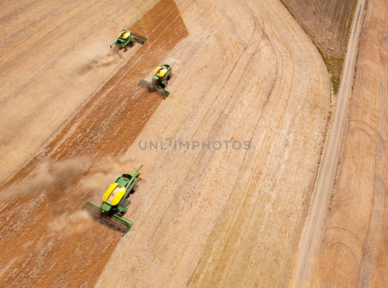 Three harvesters working in a grain field on the prairies.