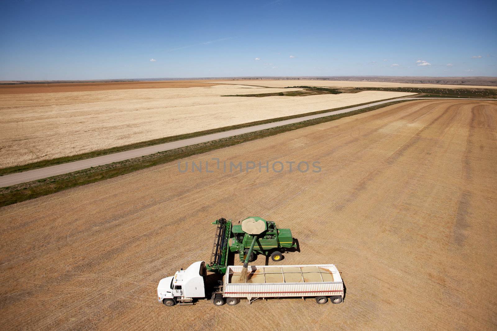 A combine unloading a harvest of lentils onto a truck on the prairie