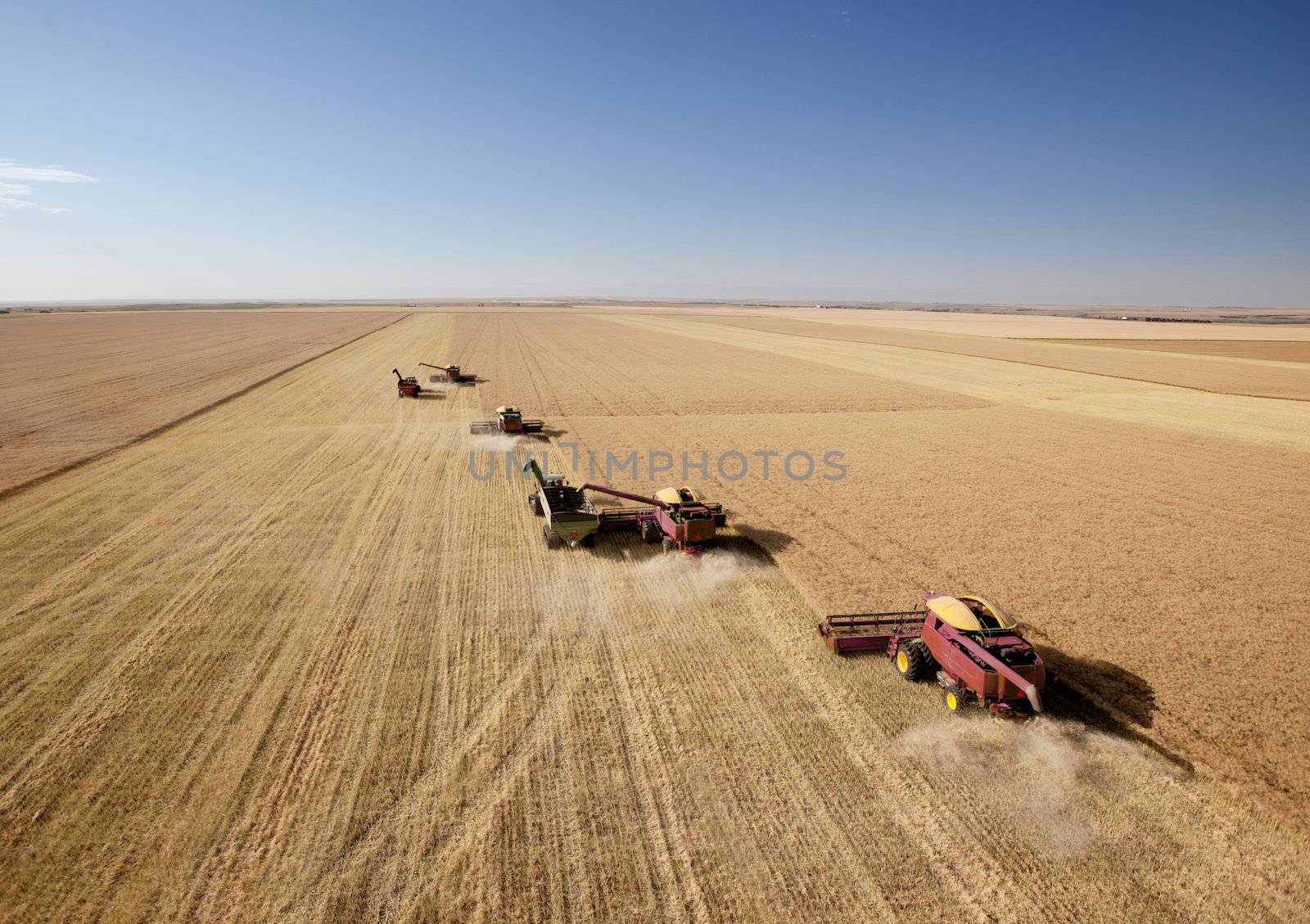 Four harvesters combining in formation in a field on the open prairie