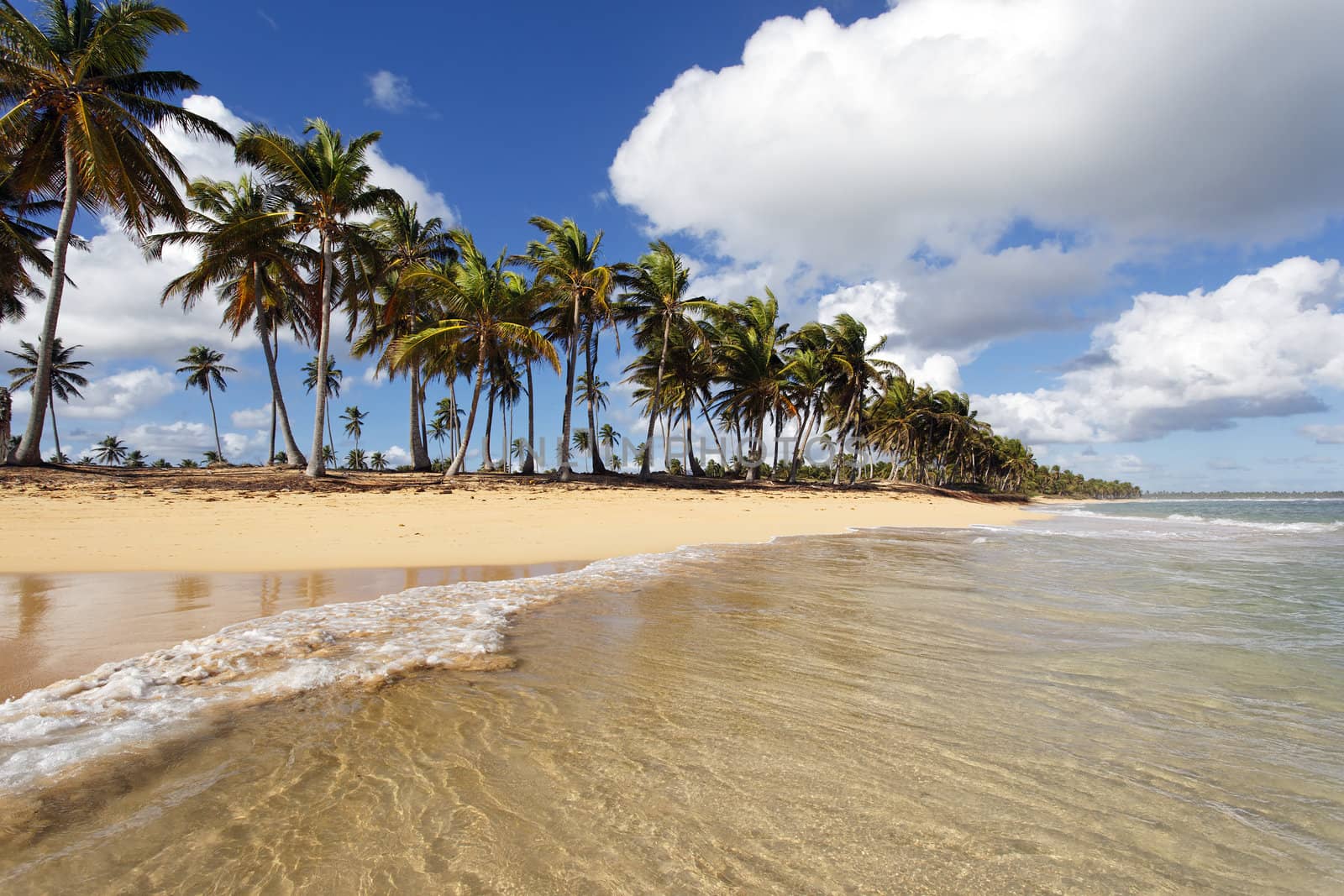 the most beautiful beach