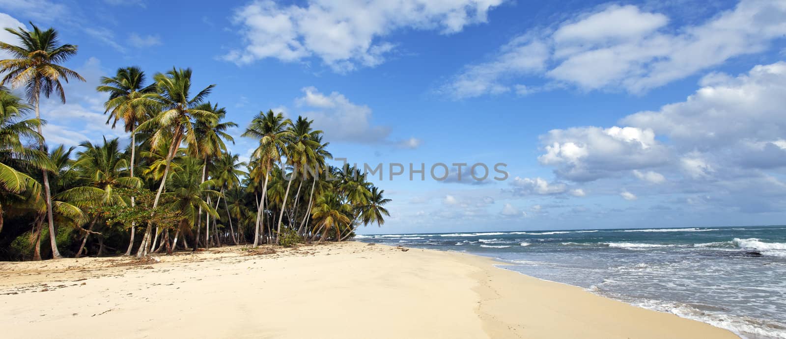 panoramic beach