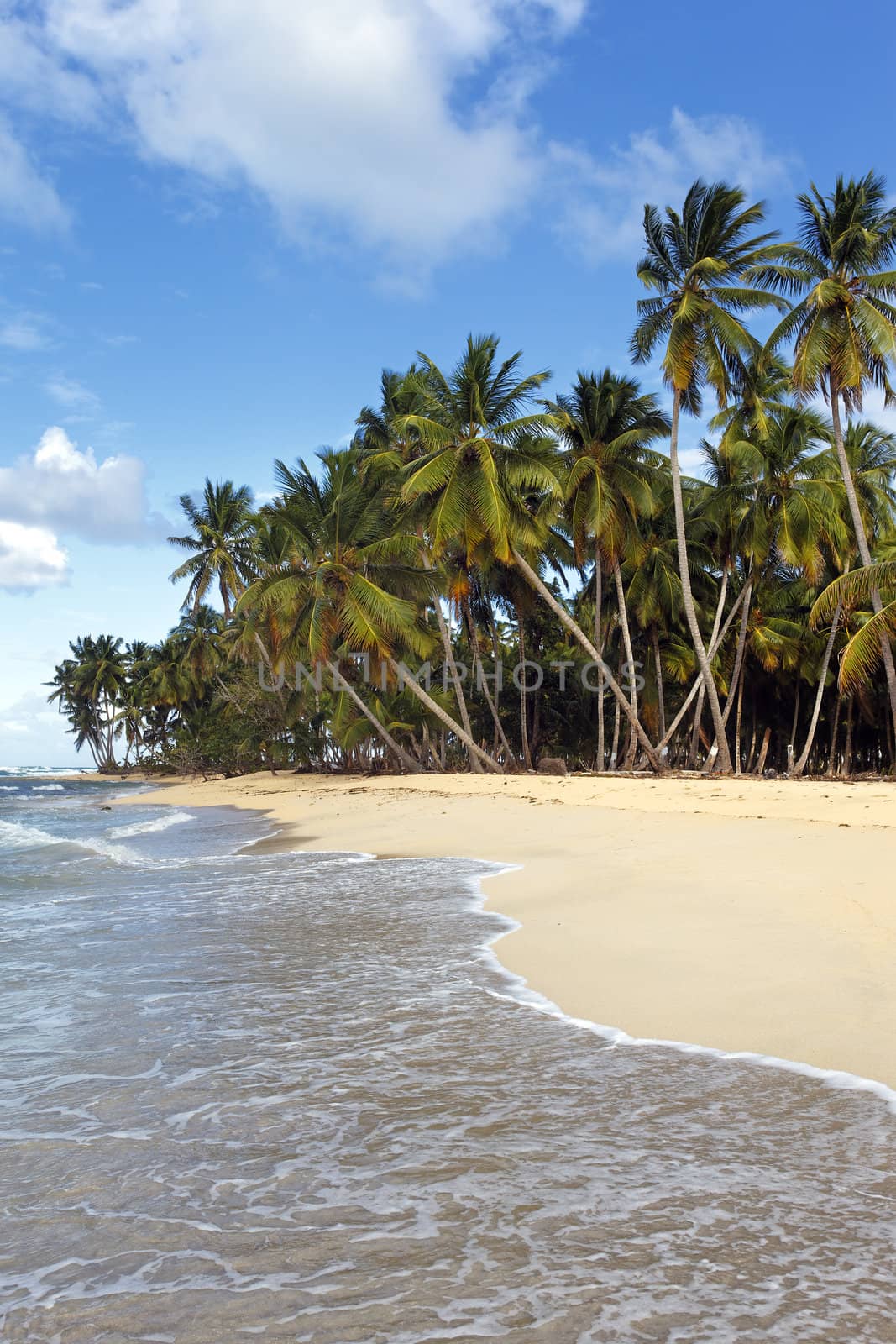 vertical beach