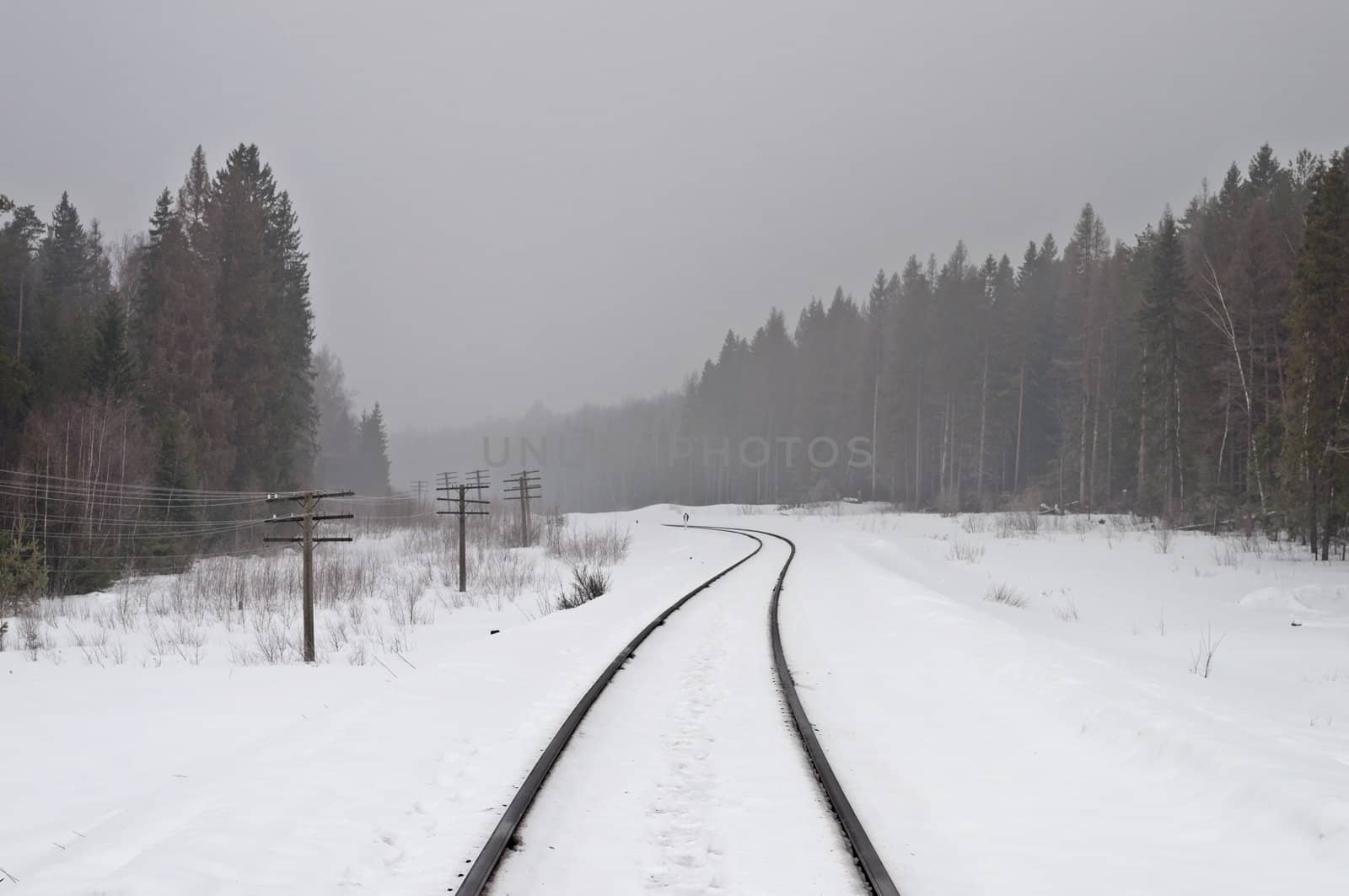 Railway passing through the forest, early spring, fog