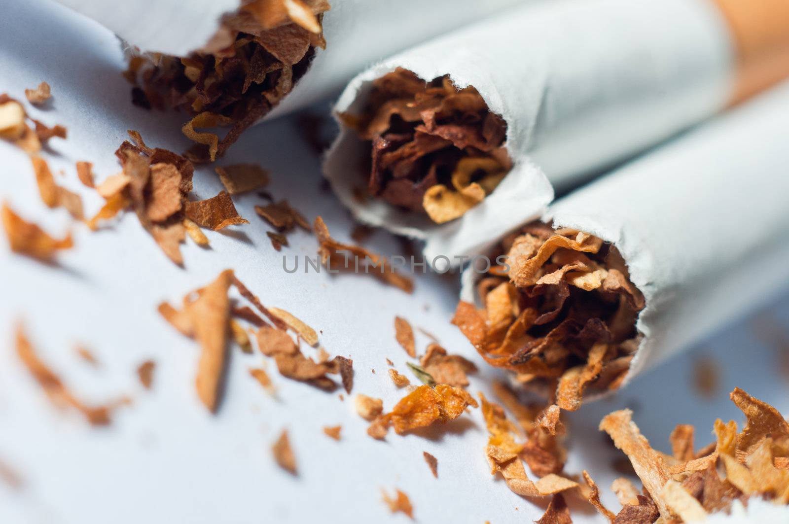 Broken cigarettes isolated on white background by svedoliver