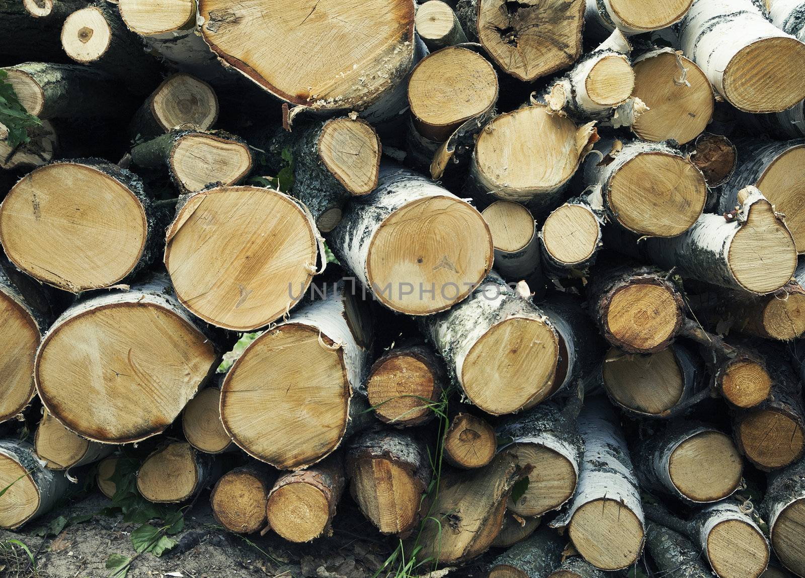 Close-up of big wood stack for background