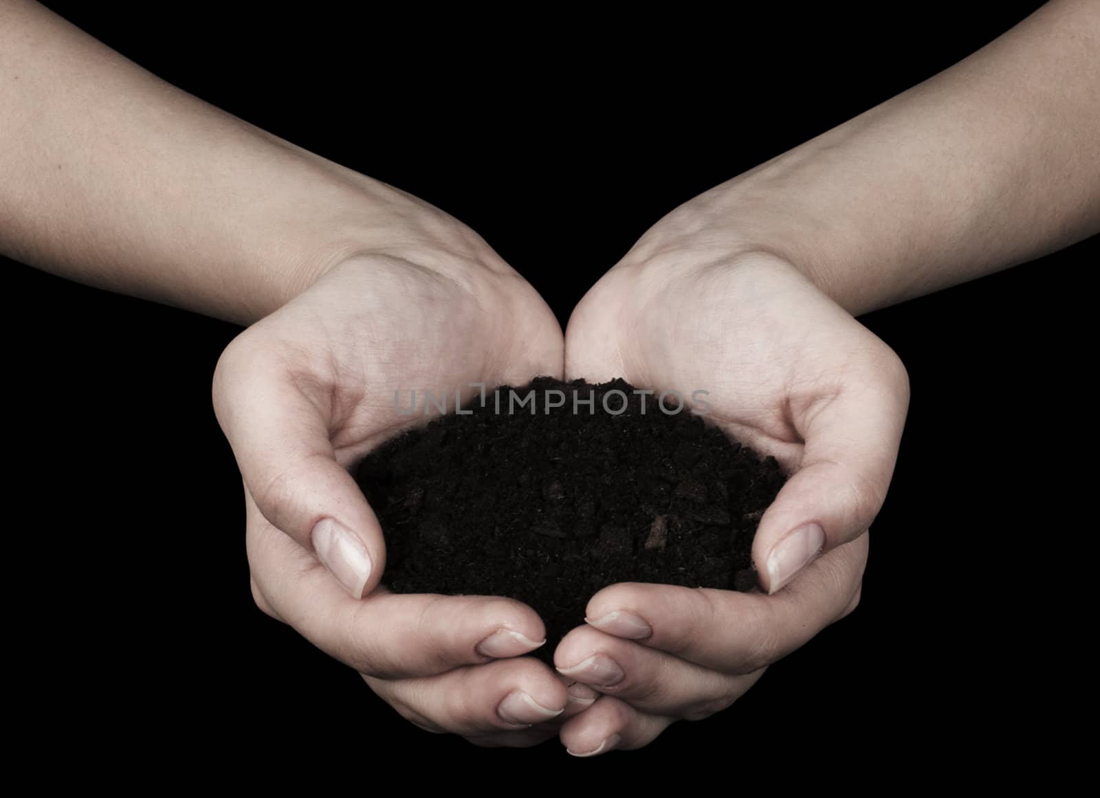 Brown Land and humman hand (on hand)