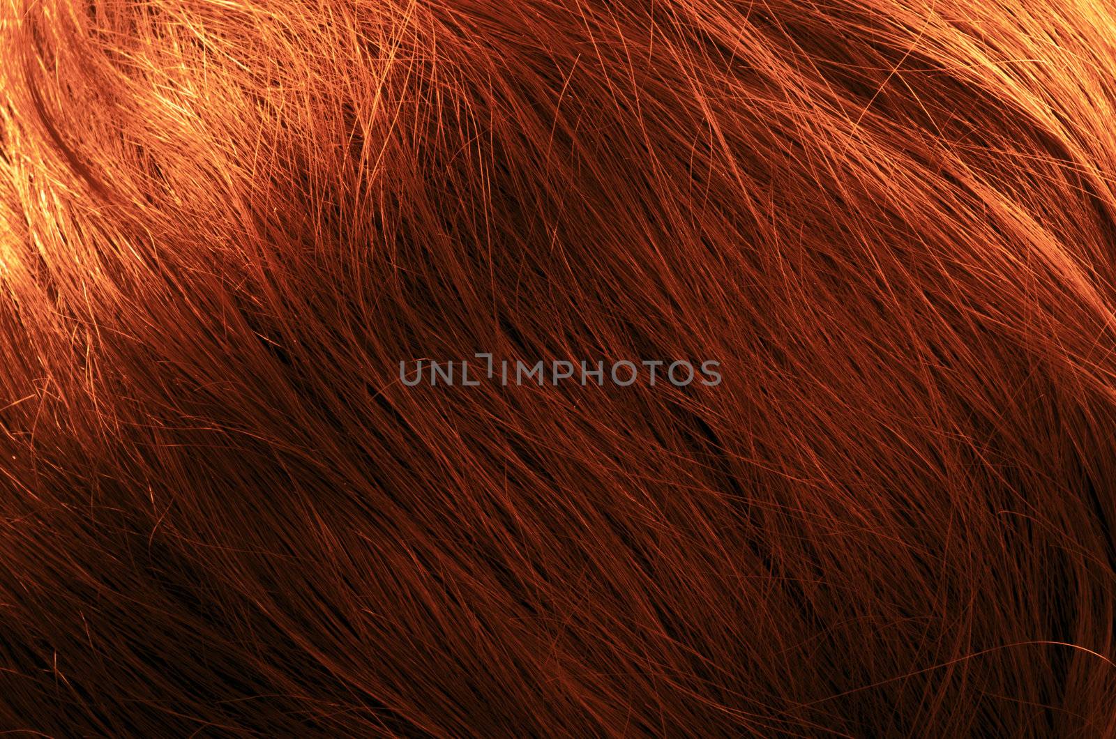 Hair