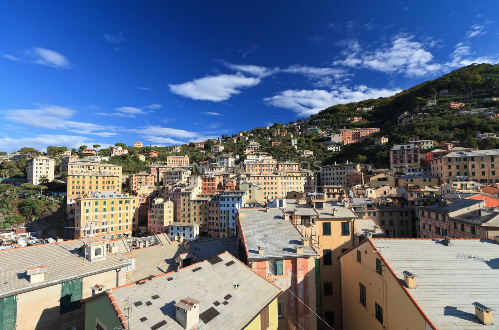 typical homes in Camogli, small village in Liguria, Italy